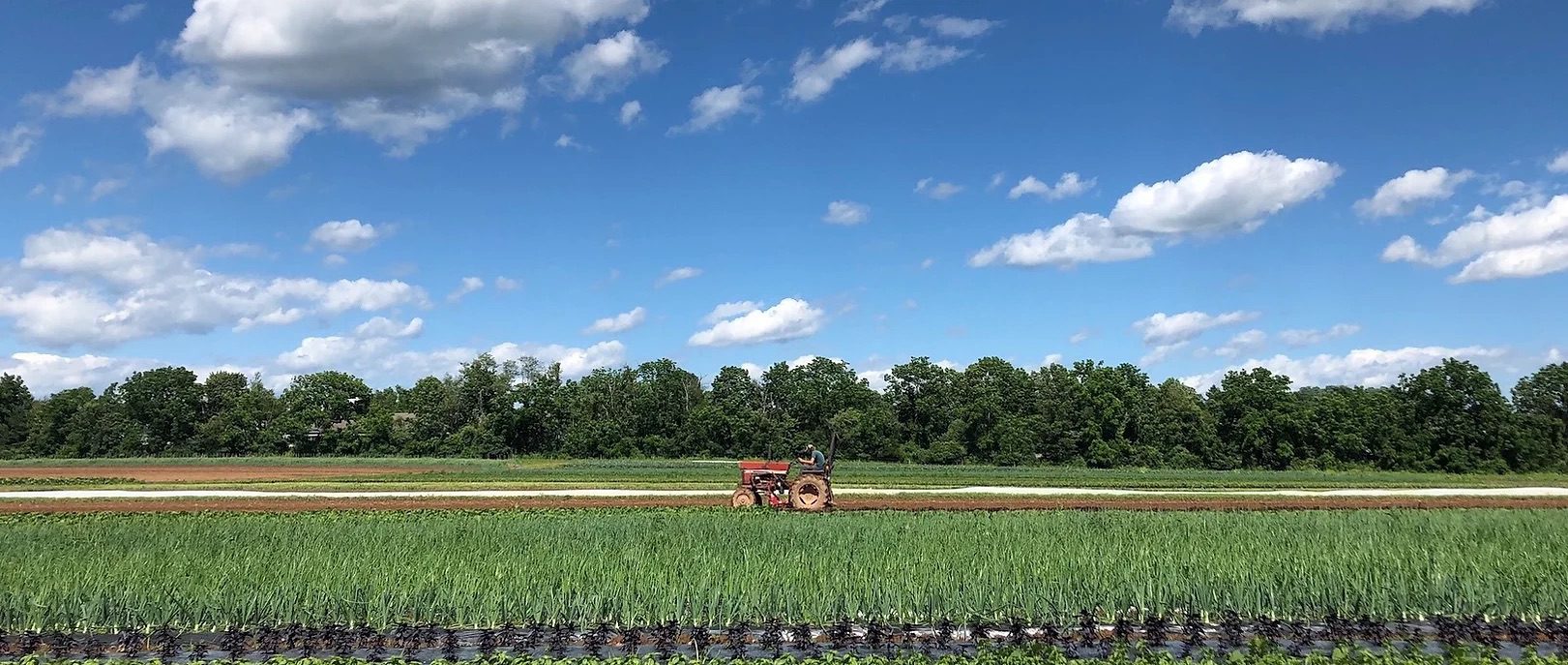 Flocktown Farm is hiring for our Farm Production Crew!